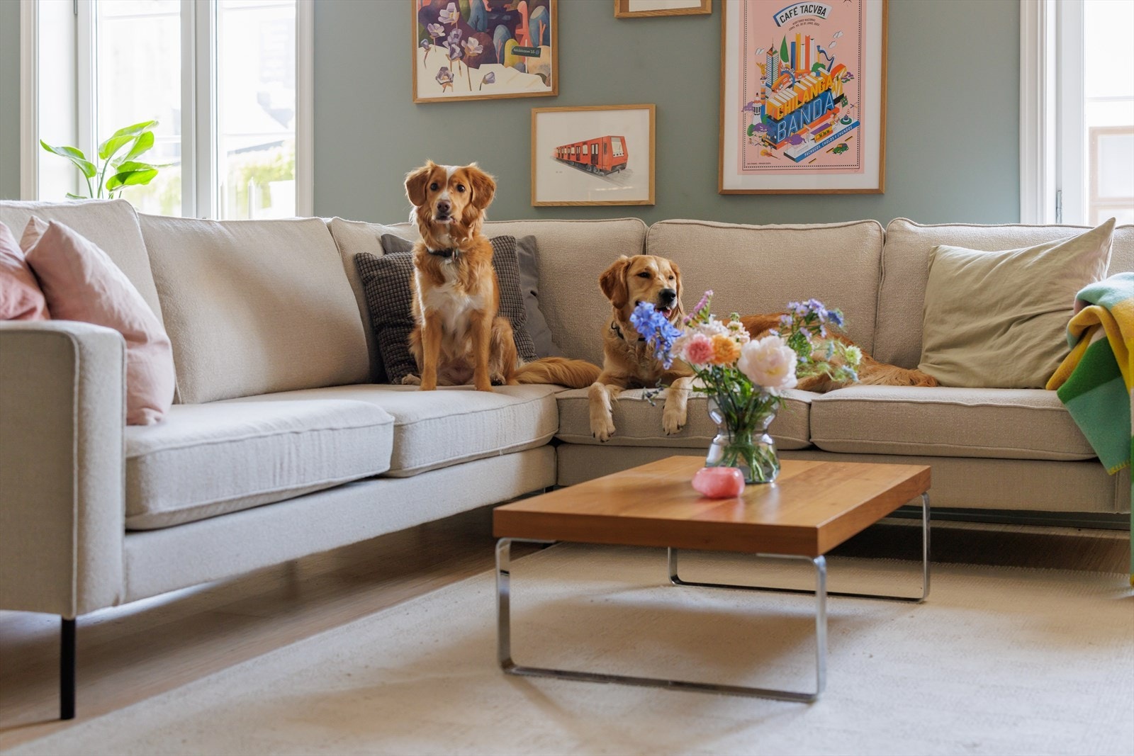 Det er lov med dyrehold i borettslaget Galleribilde