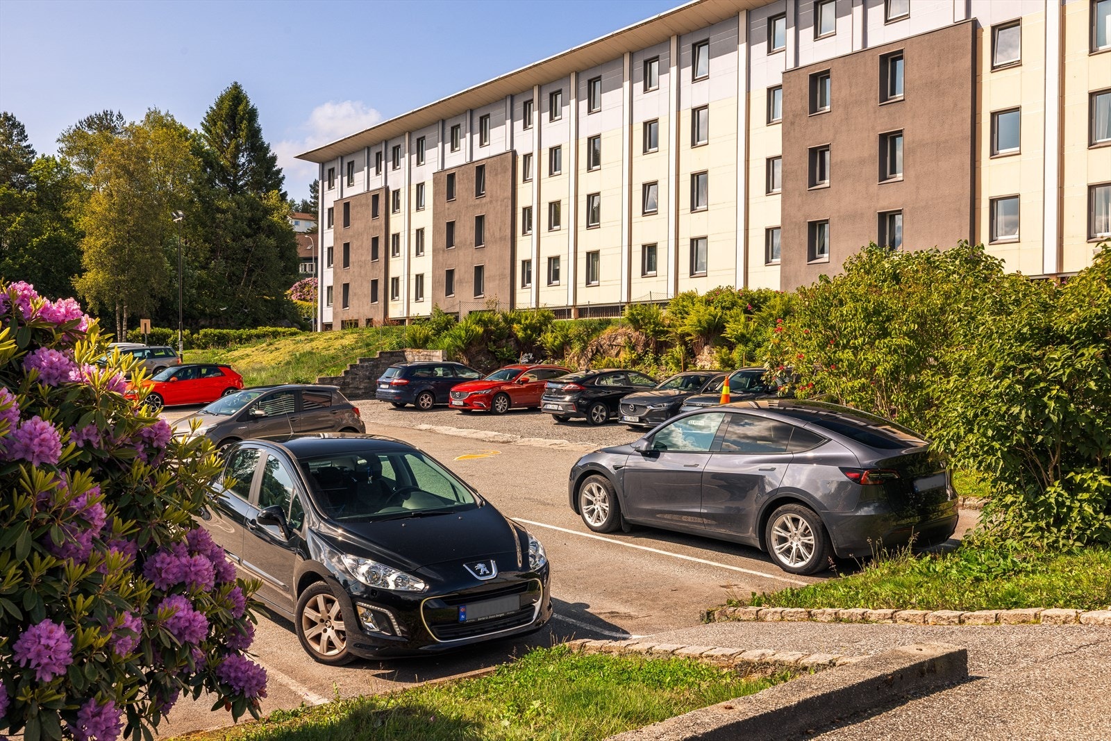 Velkommen til en hyggelig visning! Galleribilde