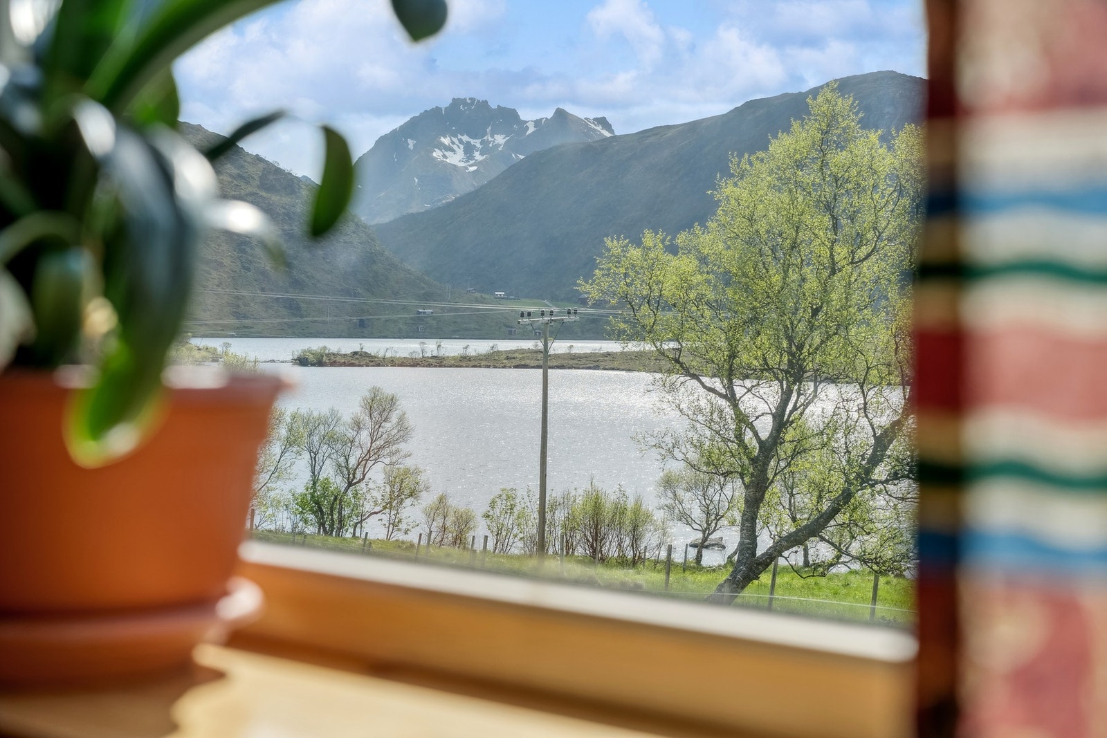 Utsikta fra kjellerstua. Galleribilde