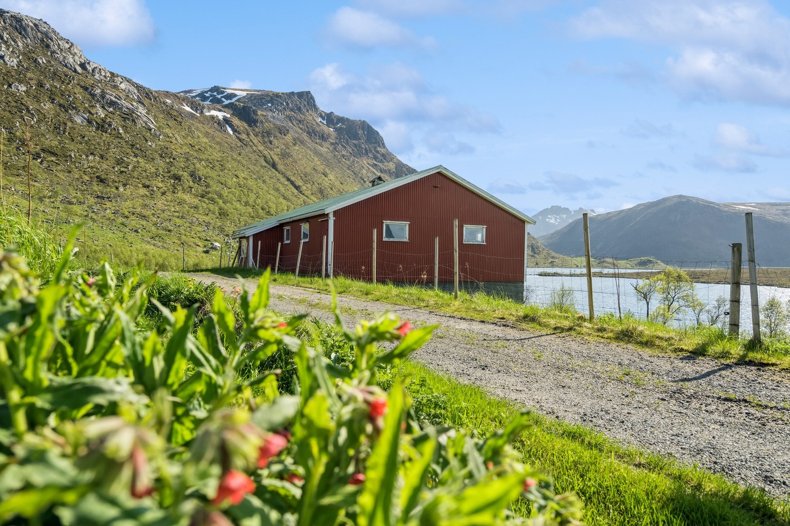 Tidligere driftsbygning som en gang i tiden huset geiter. Galleribilde