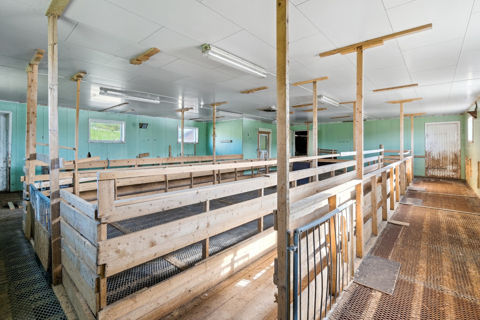 Tidligere var dette en geitegård, men er ikke i drift i dag. Galleribilde