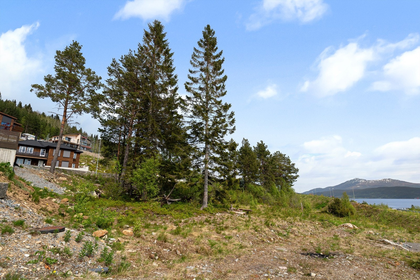 dyrhaugbakken9_studioistad_004.jpg Galleribilde