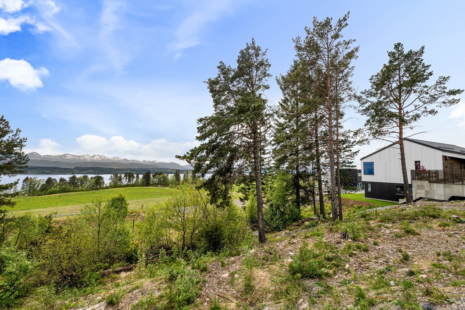 dyrhaugbakken9_studioistad_003.jpg Galleribilde