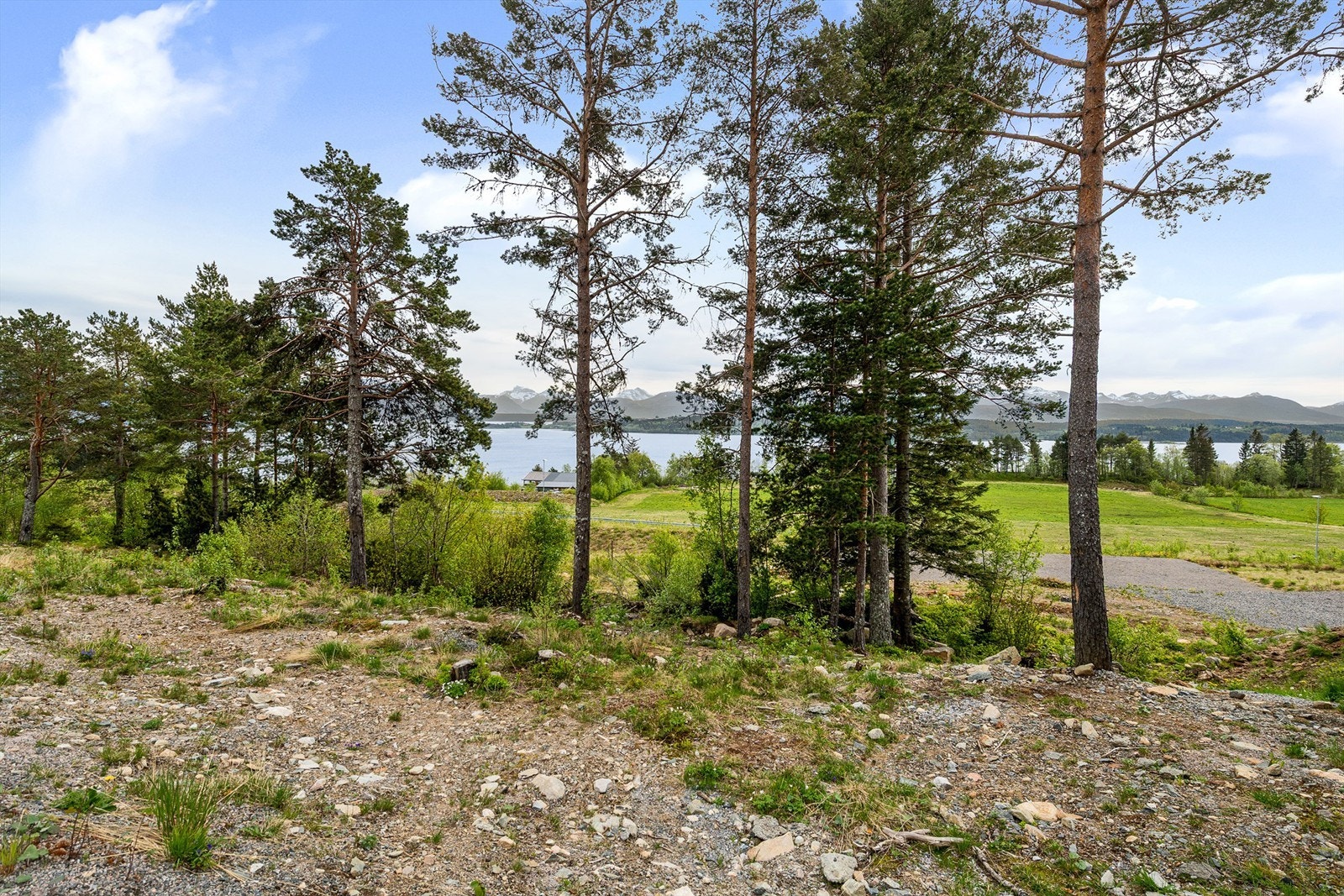 dyrhaugbakken9_studioistad_002.jpg Galleribilde