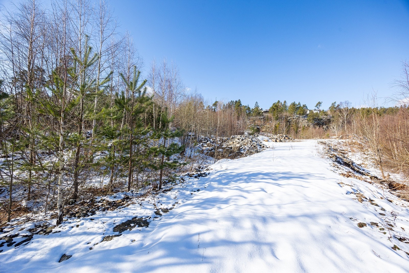 Tangenheia 75 Galleribilde