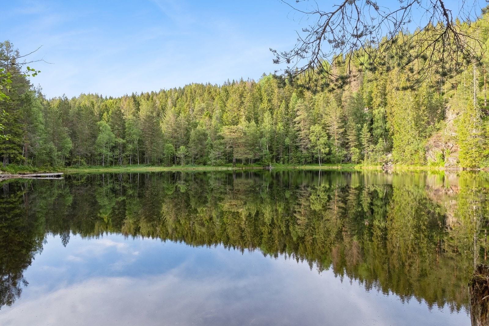 Klopptjern er et fint turmål for både store og små. Dette er et populært badevann sommerstid. Pakk sekken, ta med litt godt å spise og tusl gjennom skogen bort til dette idylliske stedet. Galleribilde