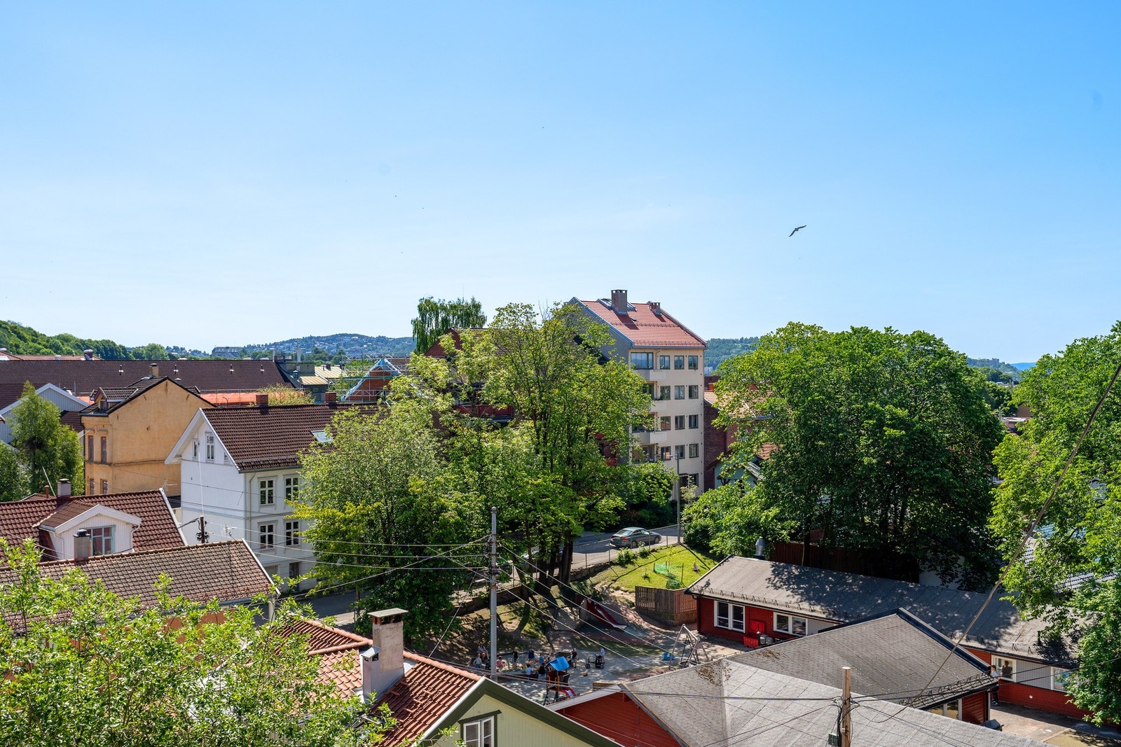 Utsikt over nærområdet. Galleribilde