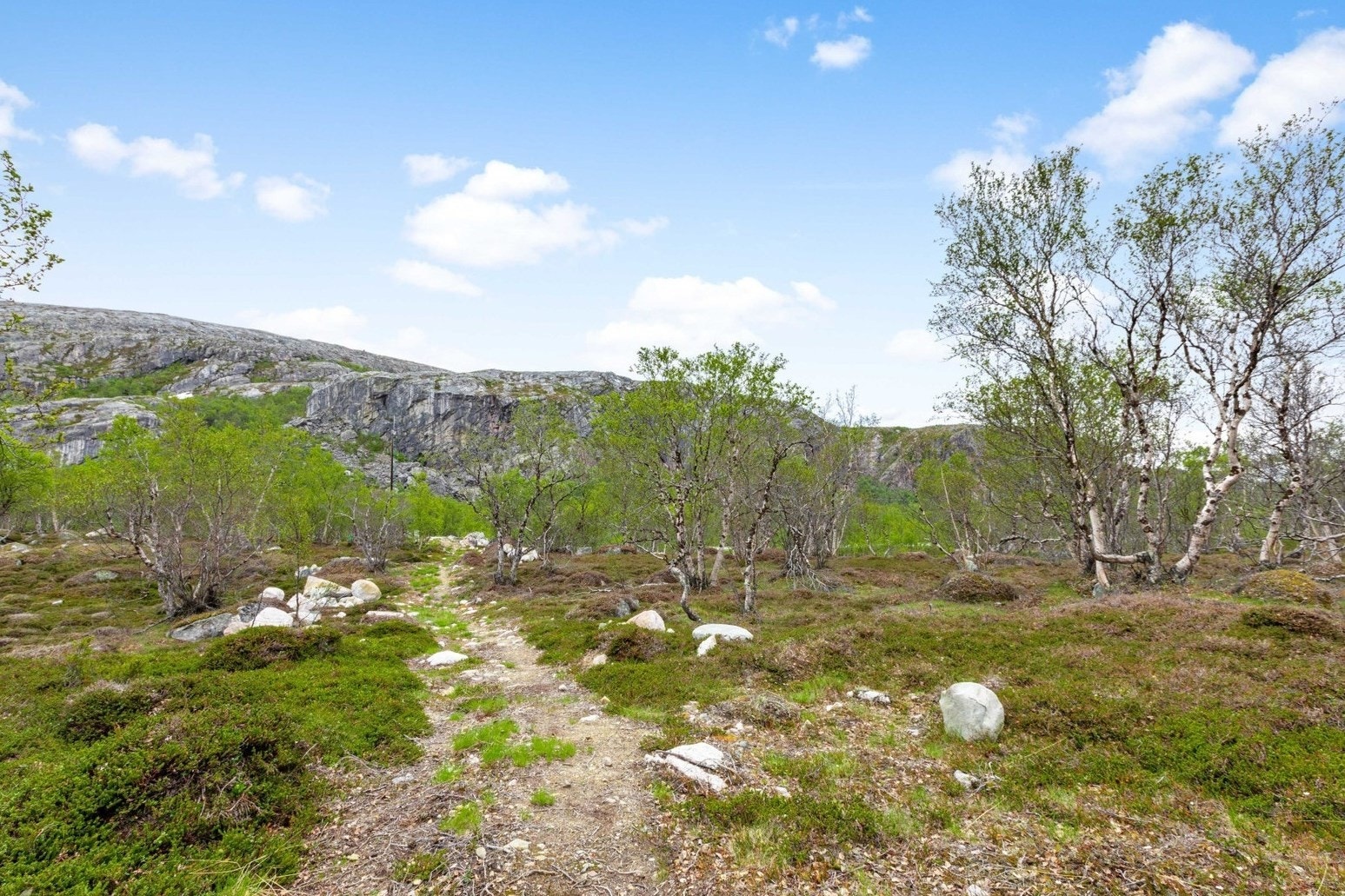 Vinterstid er det løypenett for snøscooter langs Grense Jakobselv veien. Her er deler av adkomsten via sti til hytten. Galleribilde