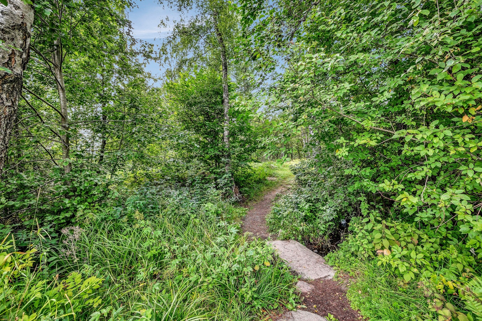 Nordmarka tilbyr gode rekreasjonsmuligheter Galleribilde