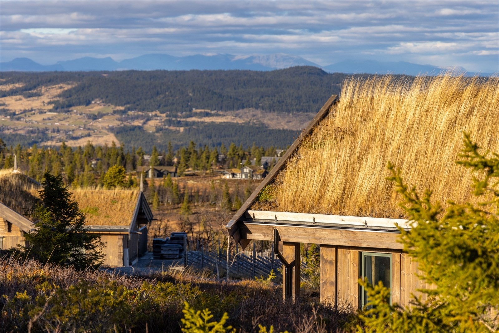 Skogshorn ligger majestetisk i utsikten rundt hytta Galleribilde
