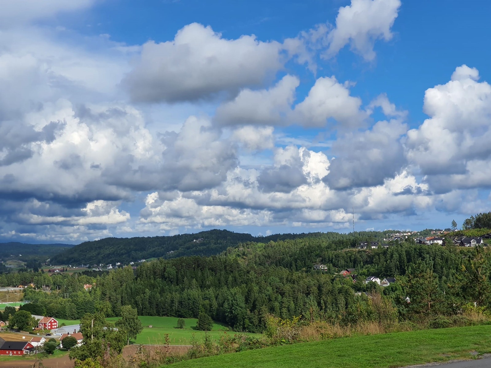 Sommertid i utsikten Galleribilde