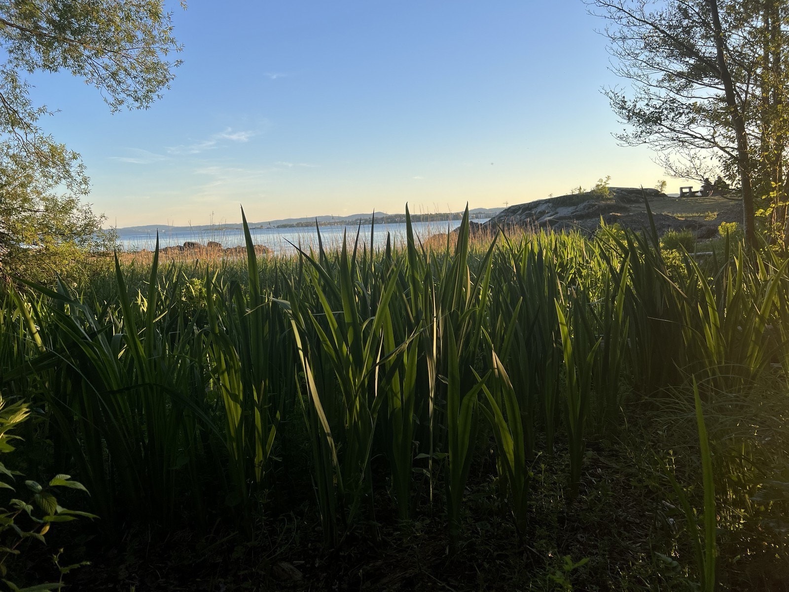 Bygdøy Galleribilde