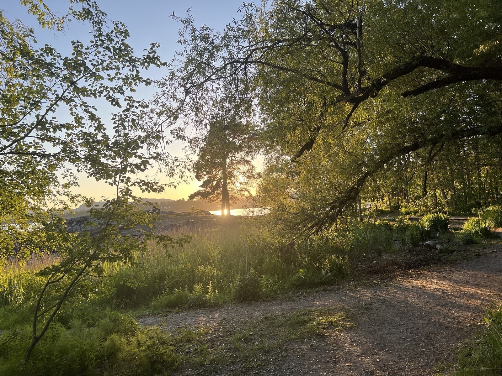Kort gåavstand til flotte Bygdøy Galleribilde
