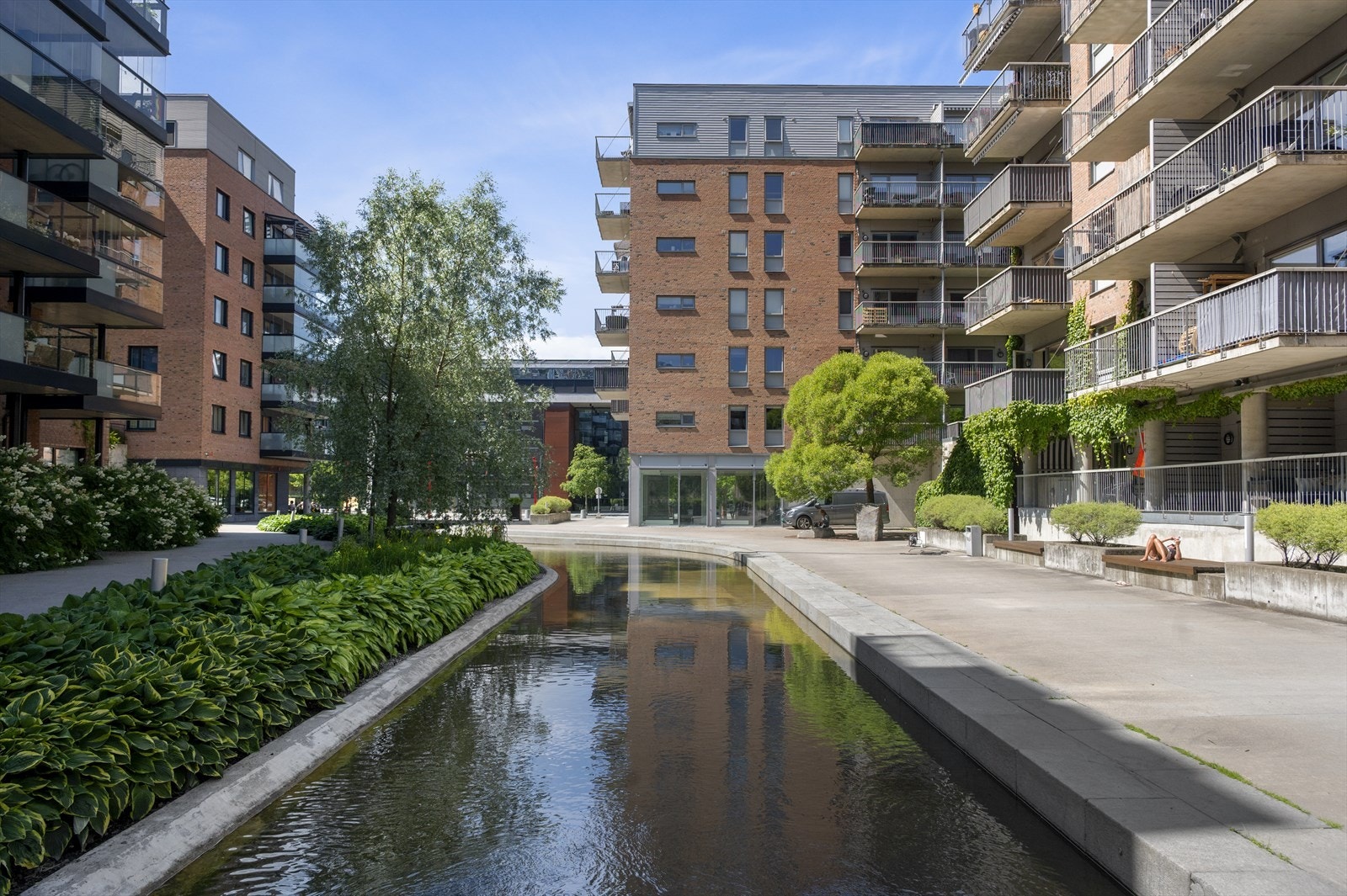 Områdebilde. Galleribilde