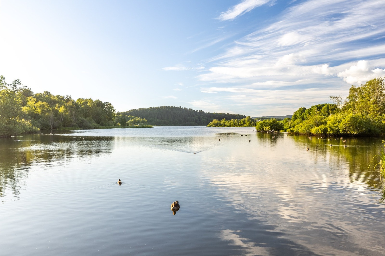 Nærområde. Galleribilde