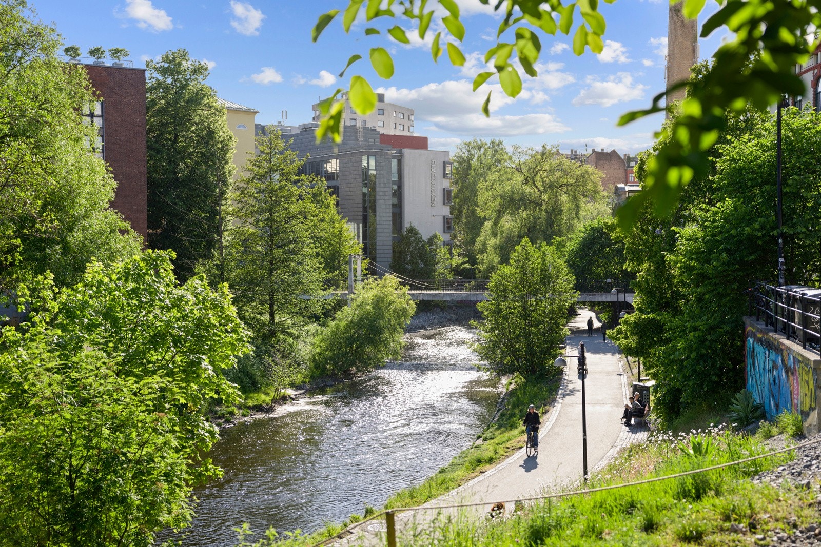 Langs Akerselva går det en hyggelig tursti langs elvebredden, fra sentrum/Bjørvika i sør til Maridalen i nord Galleribilde