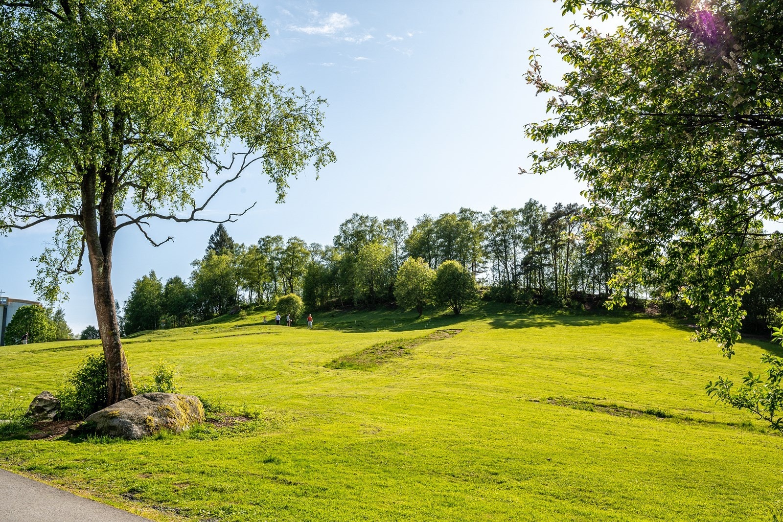 - Vakre Lynghaugparken ligger like ved. Parken har også frisbeegolfbane, som har blitt en svært populær aktivitet de siste årene - Galleribilde