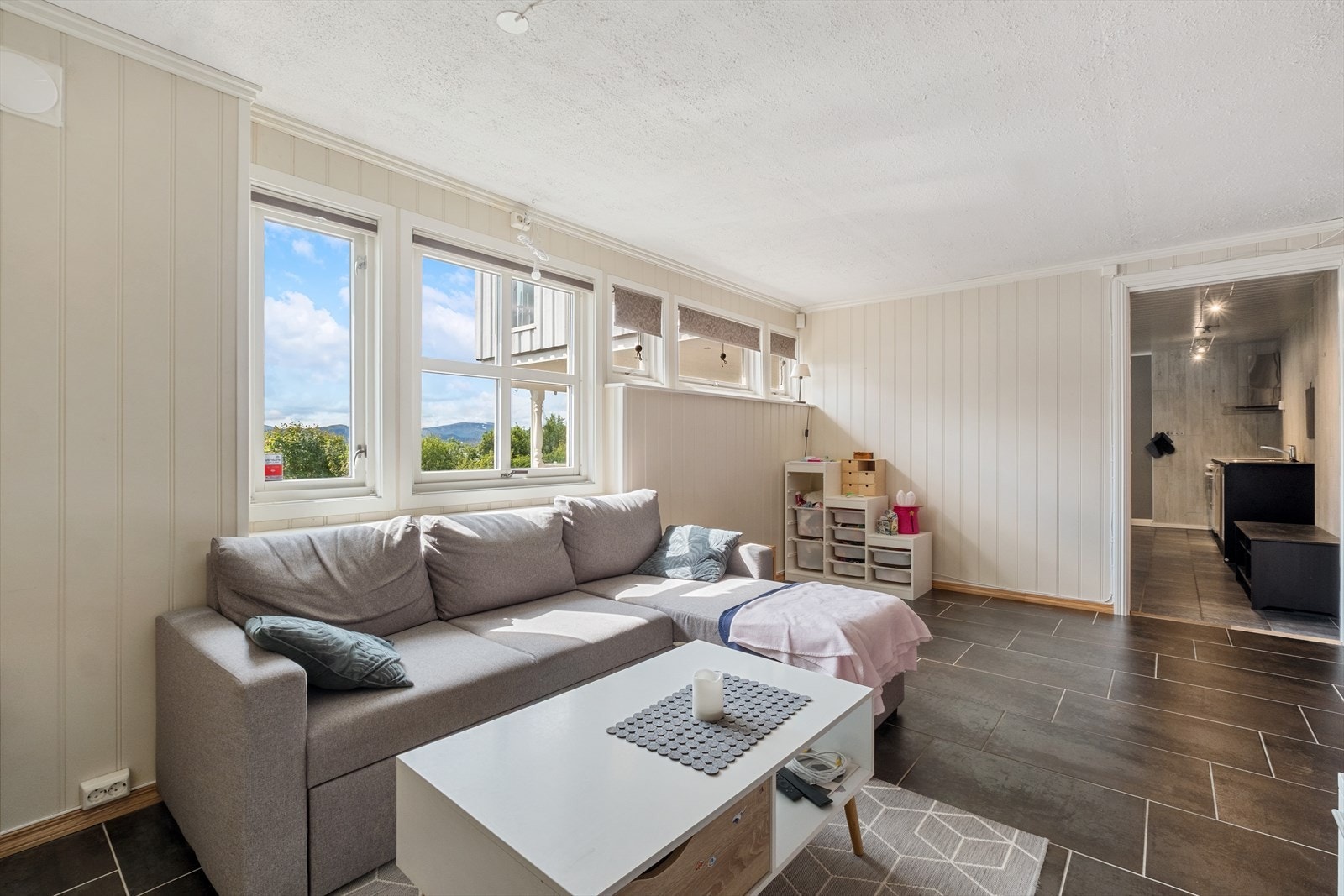 Godt med vindusflater i stue Galleribilde