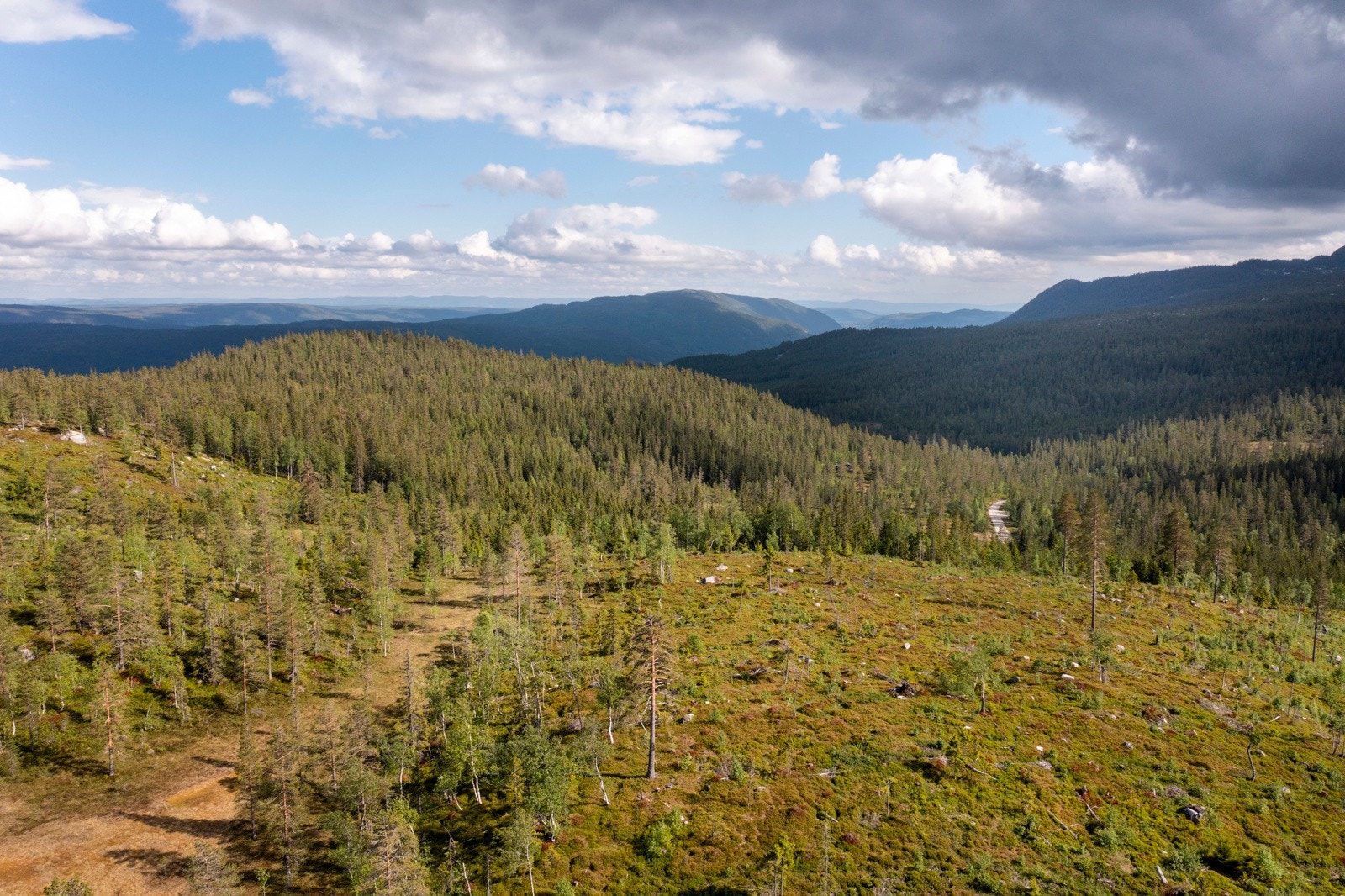 Vikerfjell er en flott destinasjon for den aktive og frluftsintreresserte Galleribilde