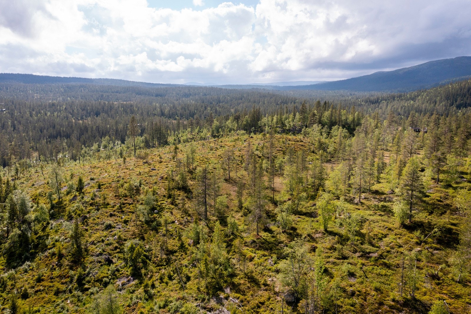 Fin utsikt fra tomten! Galleribilde