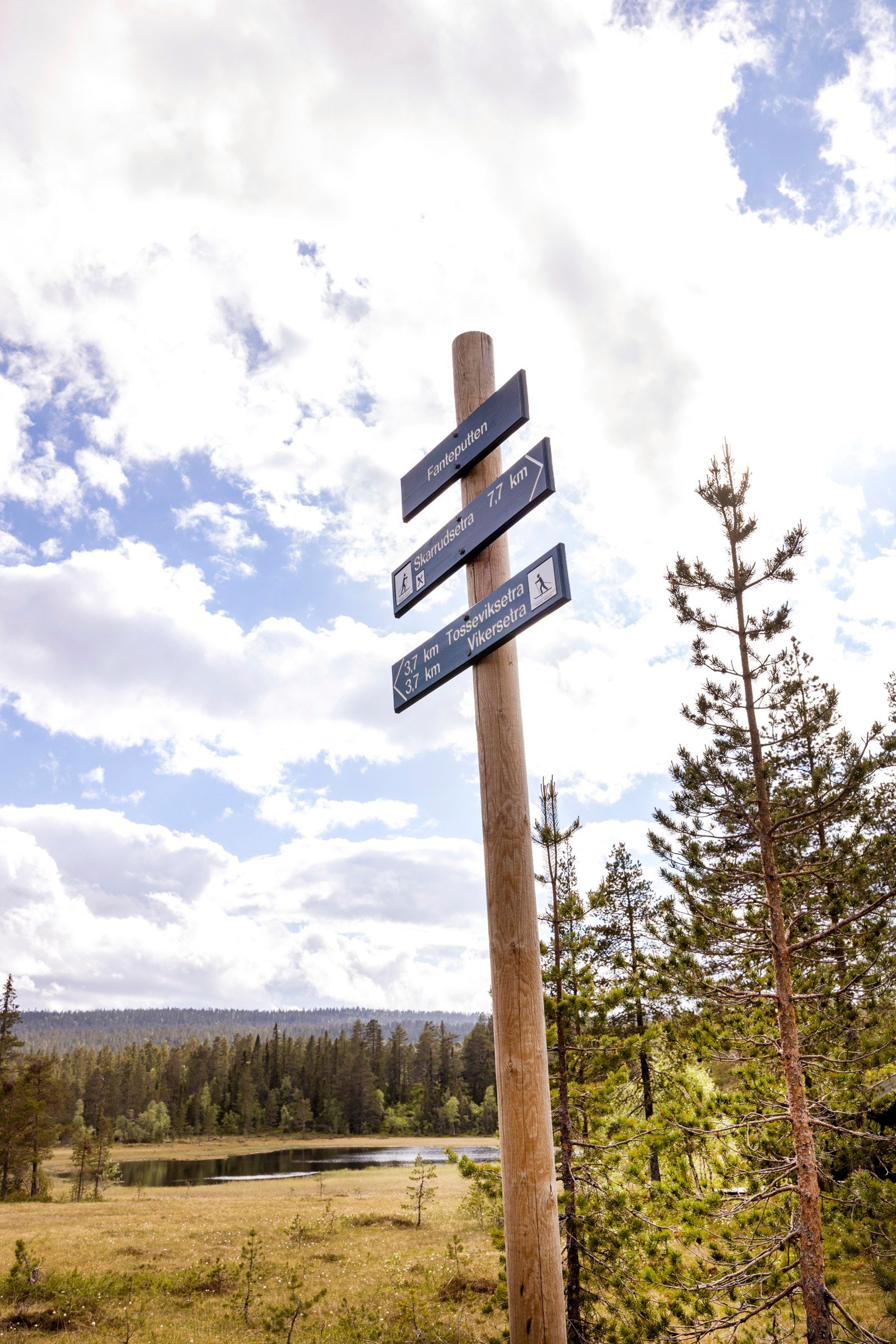 Området har gode rekreasjonsmuligheter med skiløyper like ved. Galleribilde