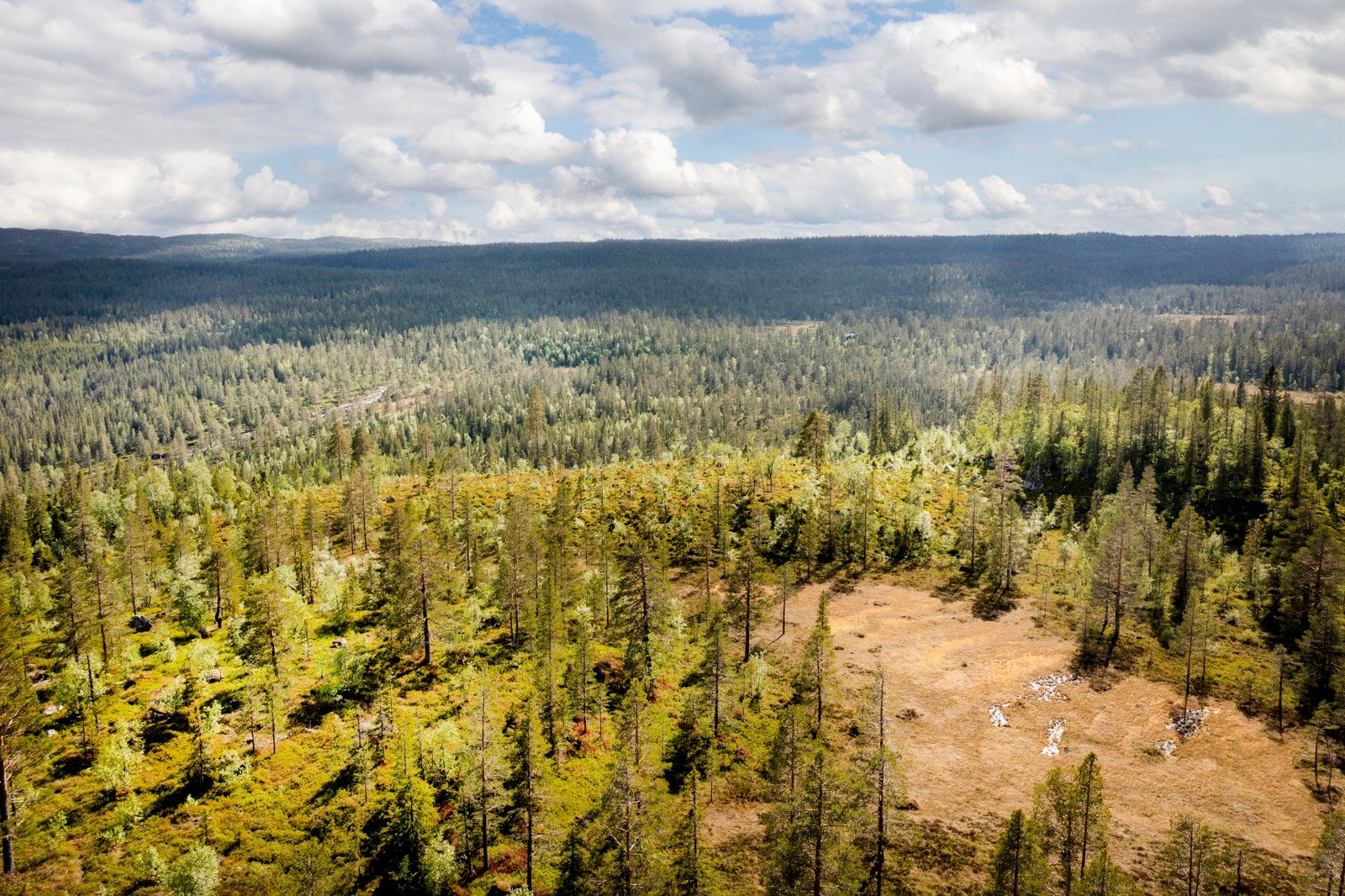 Tomten er sørvendt og har ligger for seg selv uten tilstøtende hyttetomter. Galleribilde