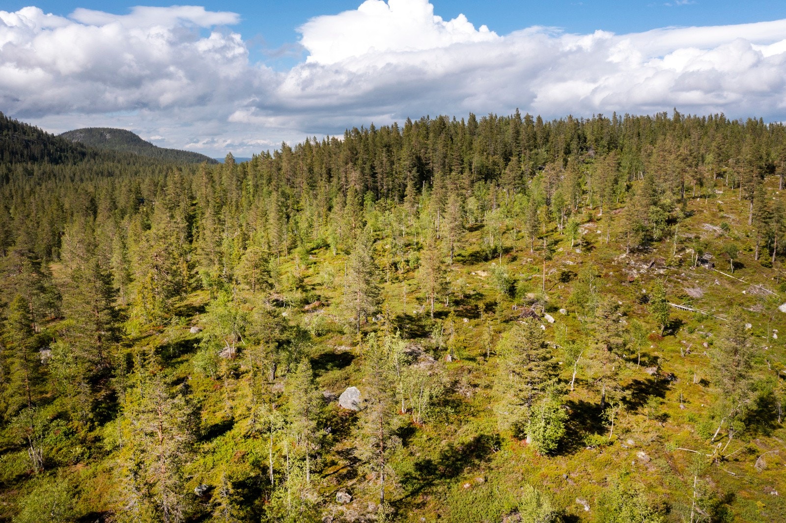 Her er det milevis med skispor, og flotte turmuligheter forøvrig. Galleribilde