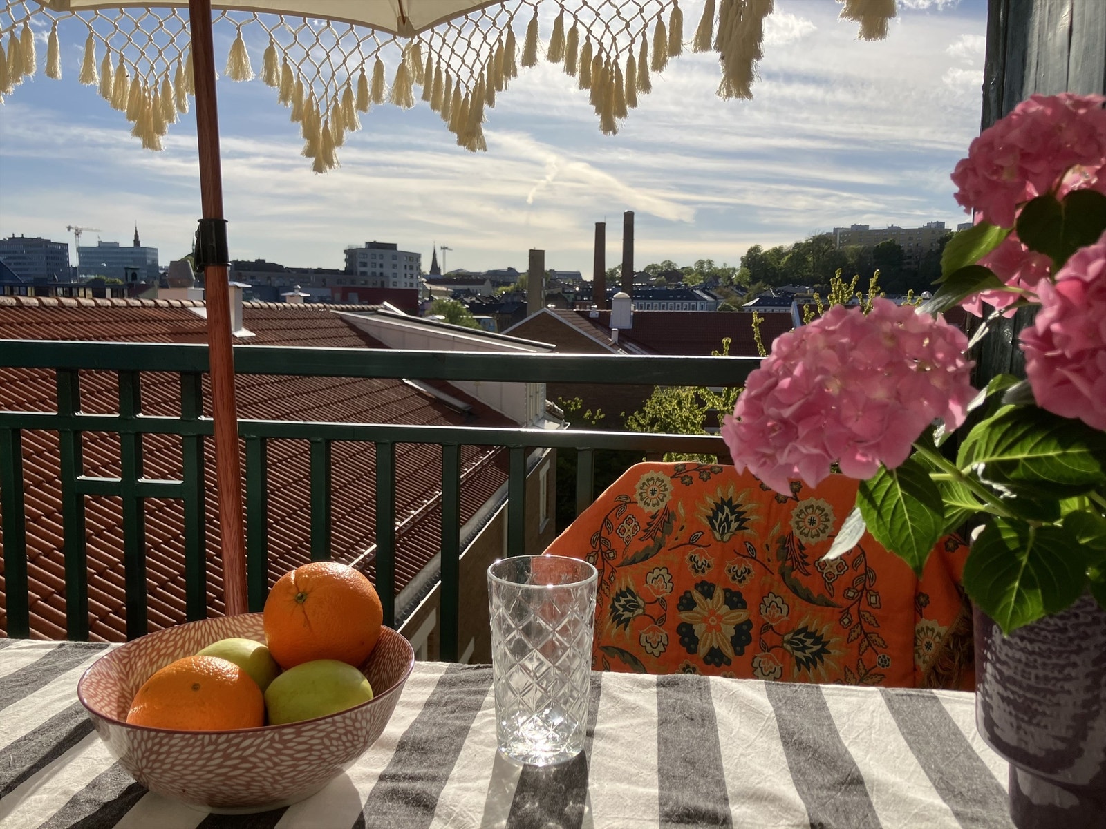 Herlige solforhold på kveldstid. Galleribilde