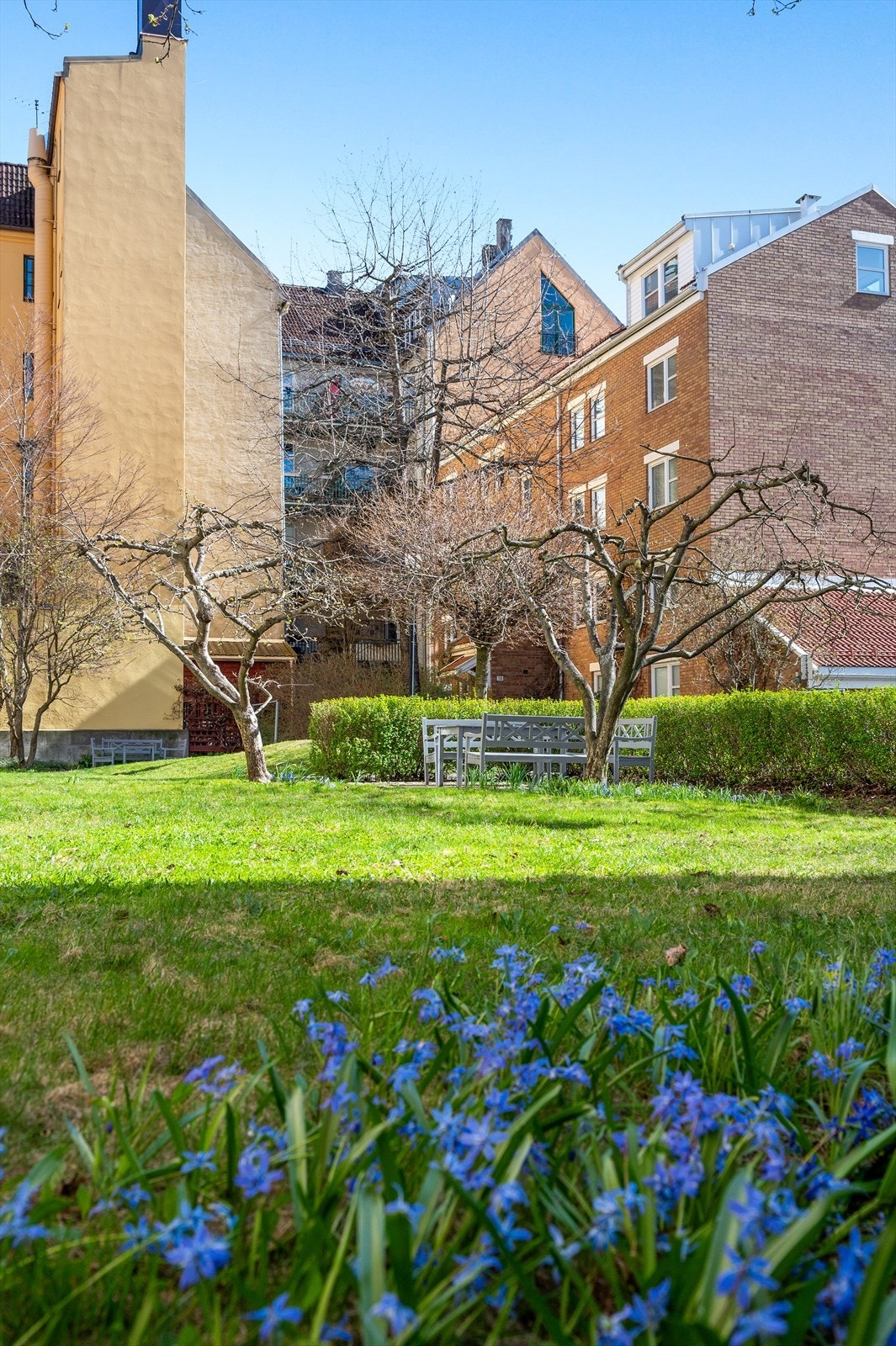 Flotte fellesarealer opparbeidet med diverse prydbusker og hyggelige sittegrupper. Galleribilde