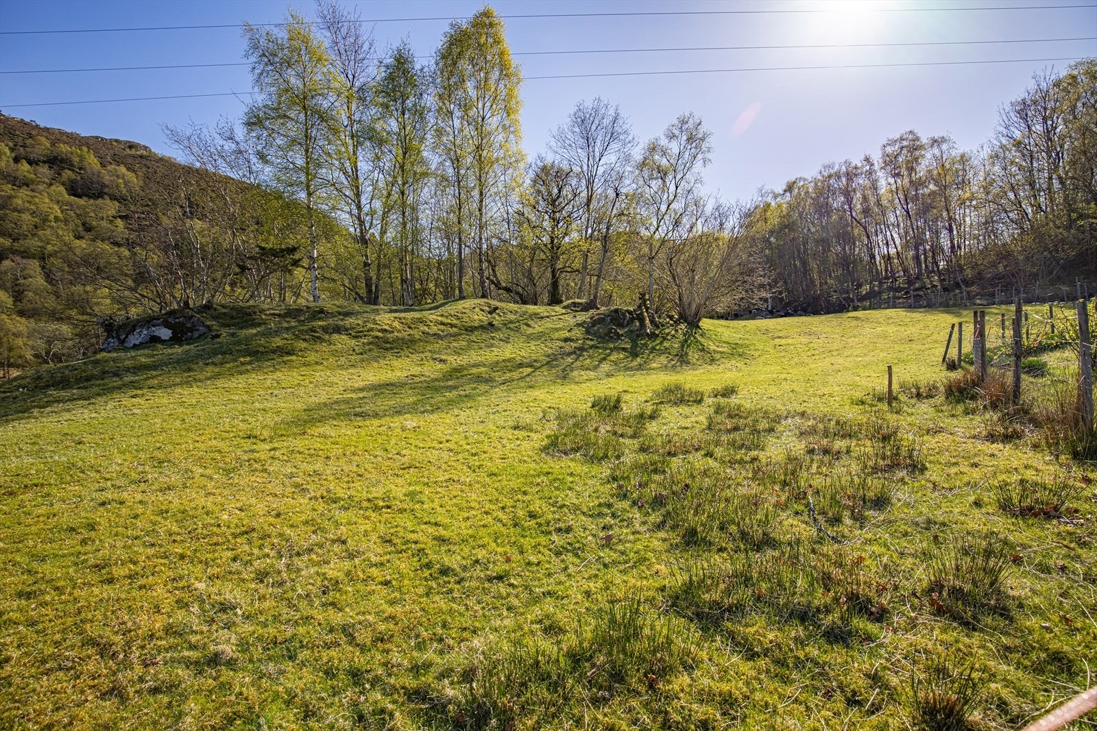 Terrenget er lett skrånende Galleribilde