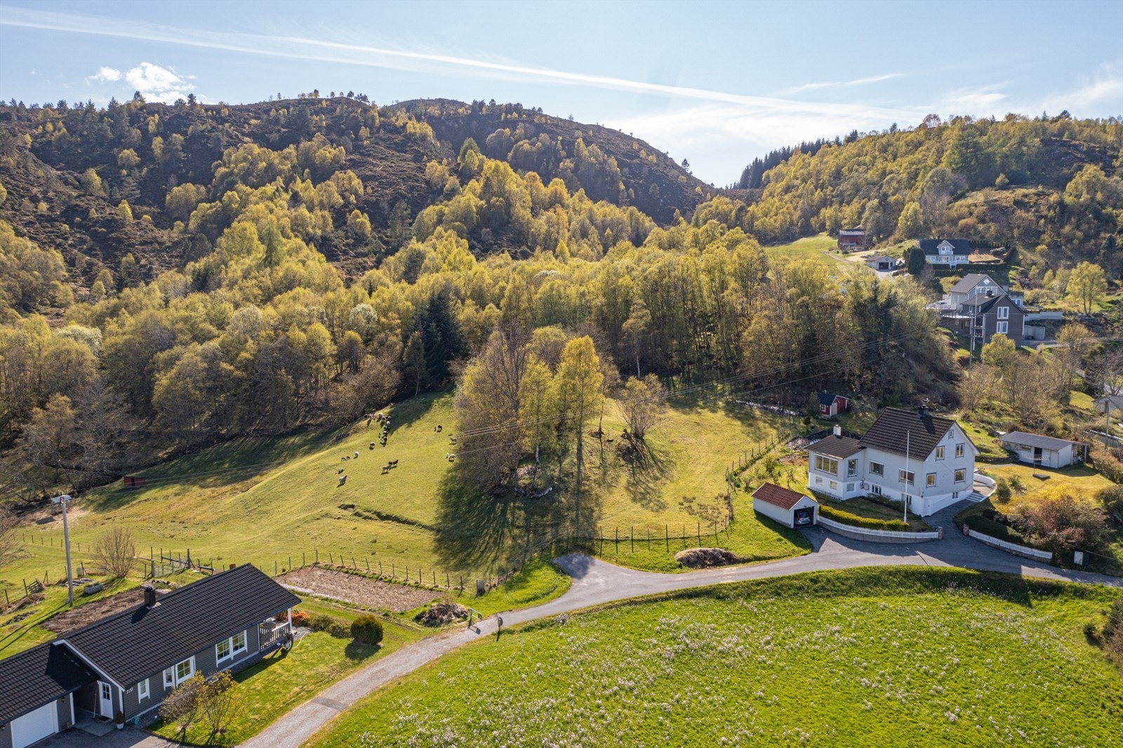 Boligtomt på Vågeskaret presentere av Hedda Nedrelid v/Notar Galleribilde