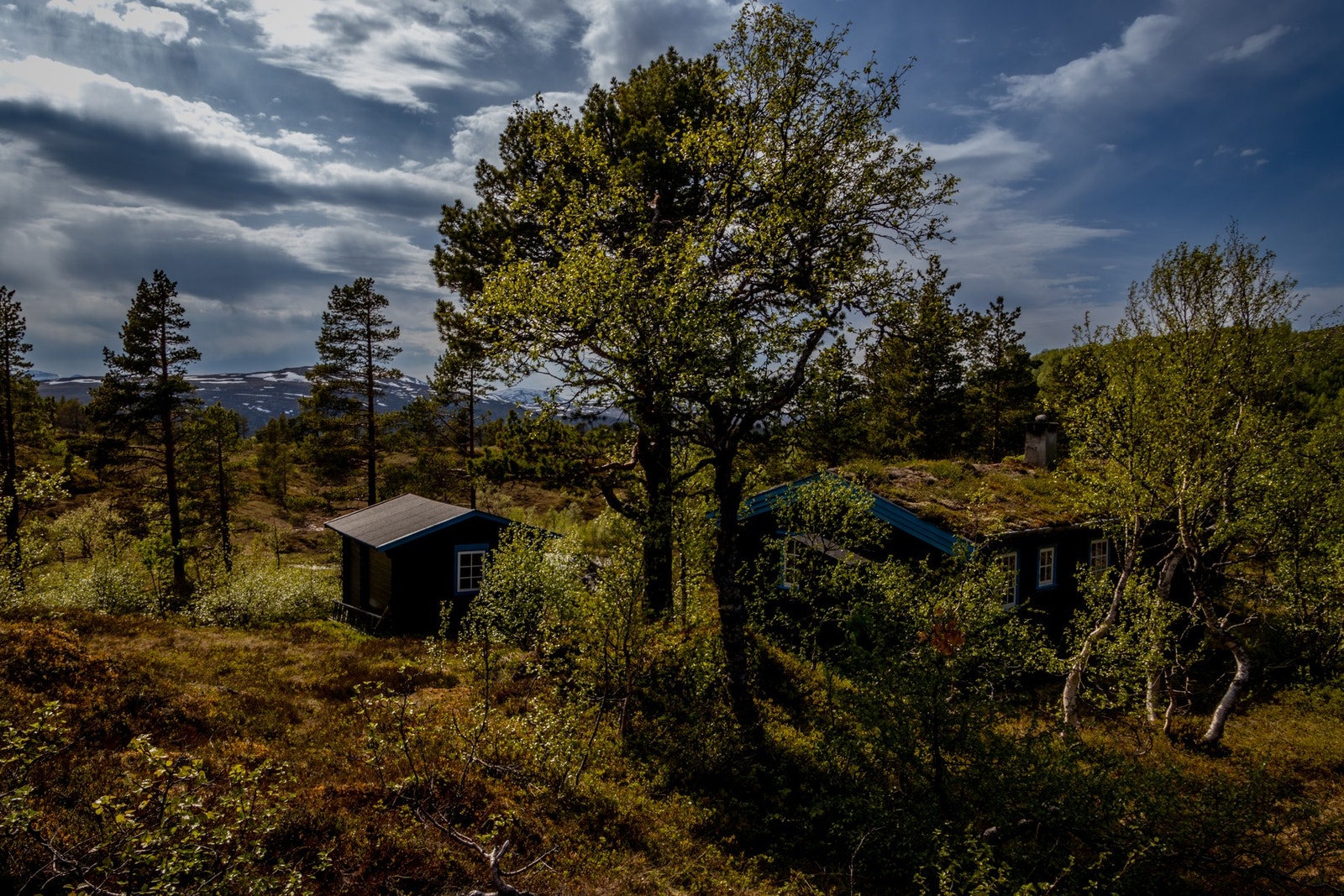 Det er flotte turmuligheter i område både sommer og vinter Galleribilde