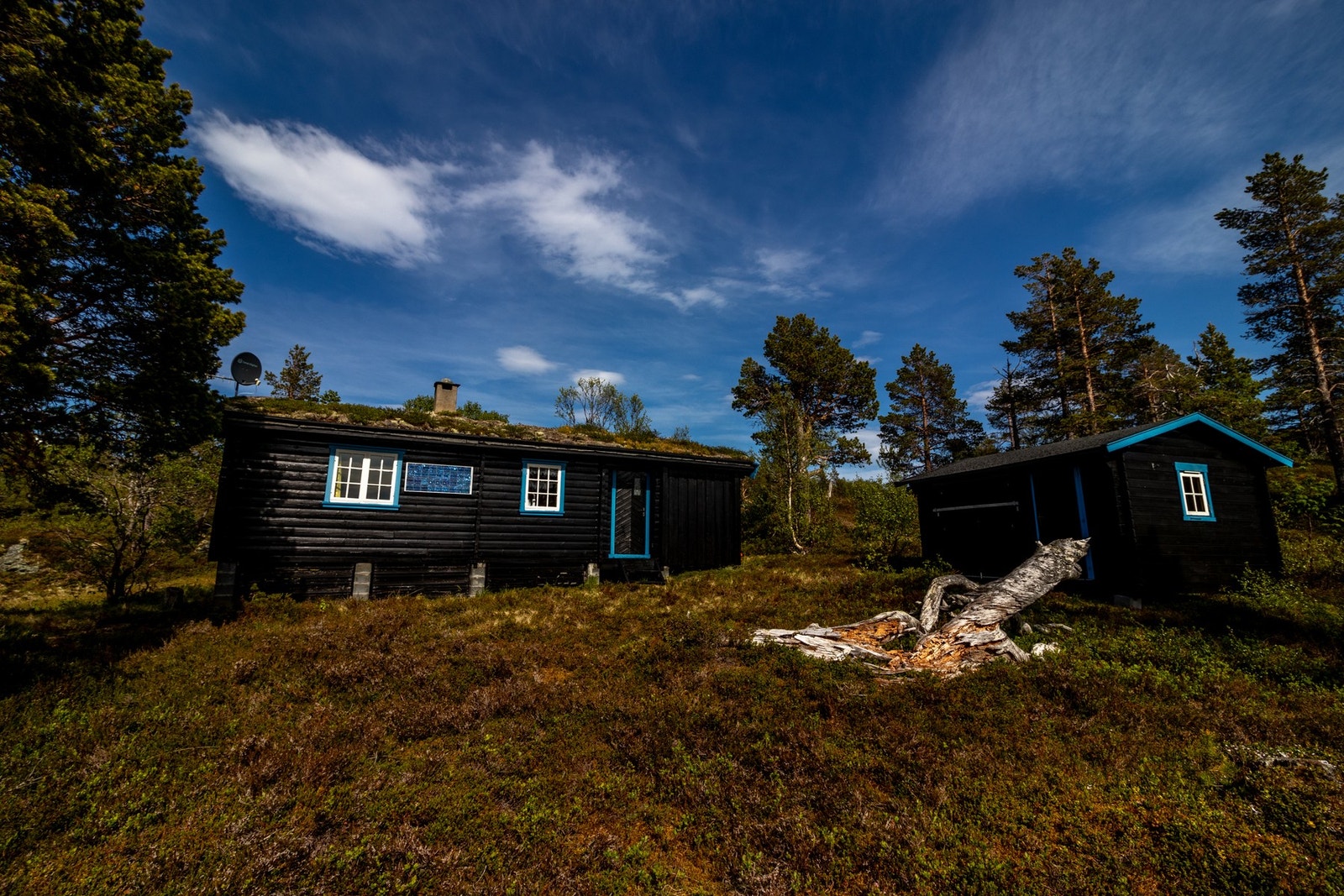 Velkommen til Ryfeltet 20! Galleribilde