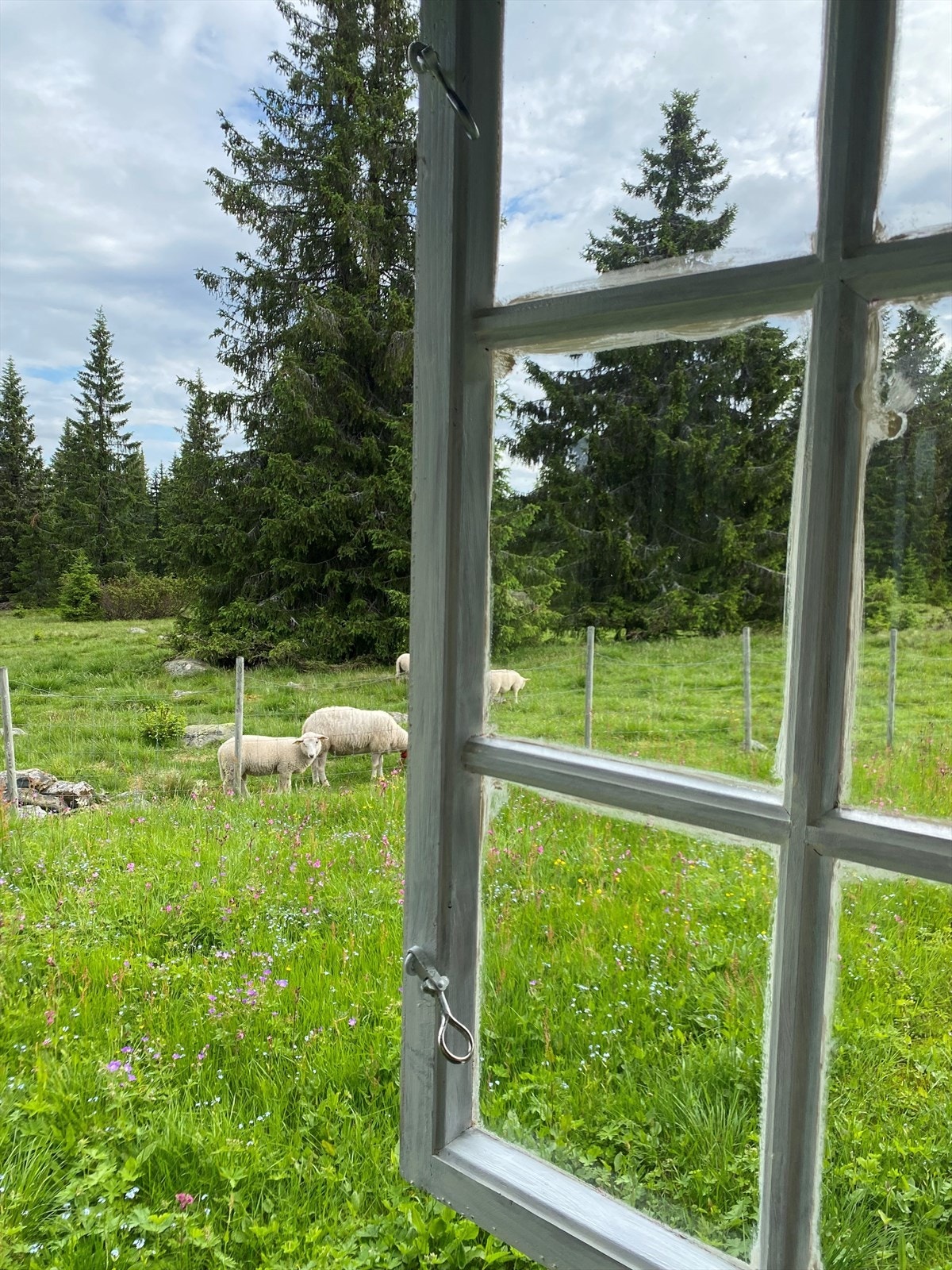 Selgers egne bilder. Galleribilde