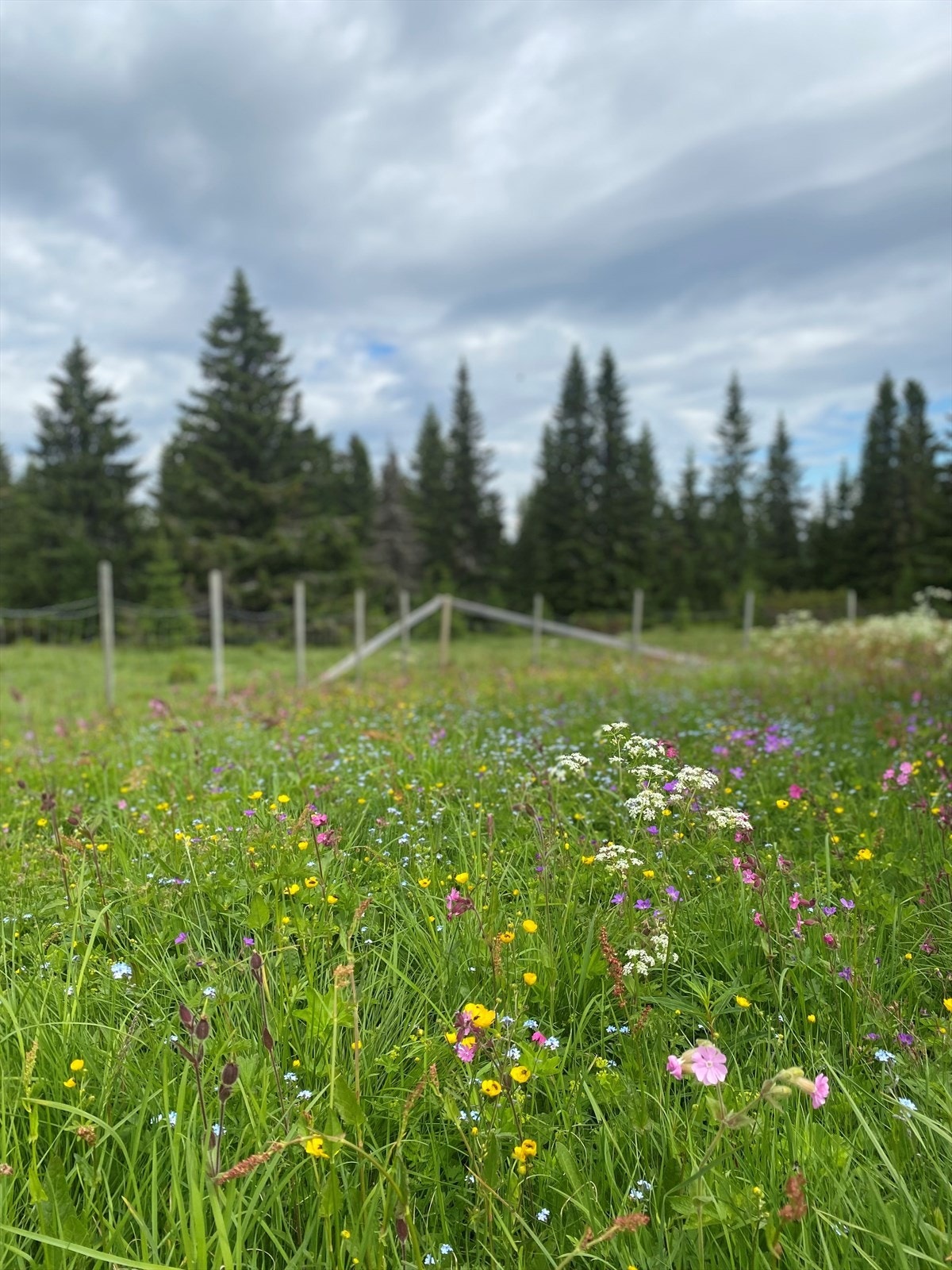 Selgers egne bilder gir deg forsmak på idyllen du har i vente. Galleribilde