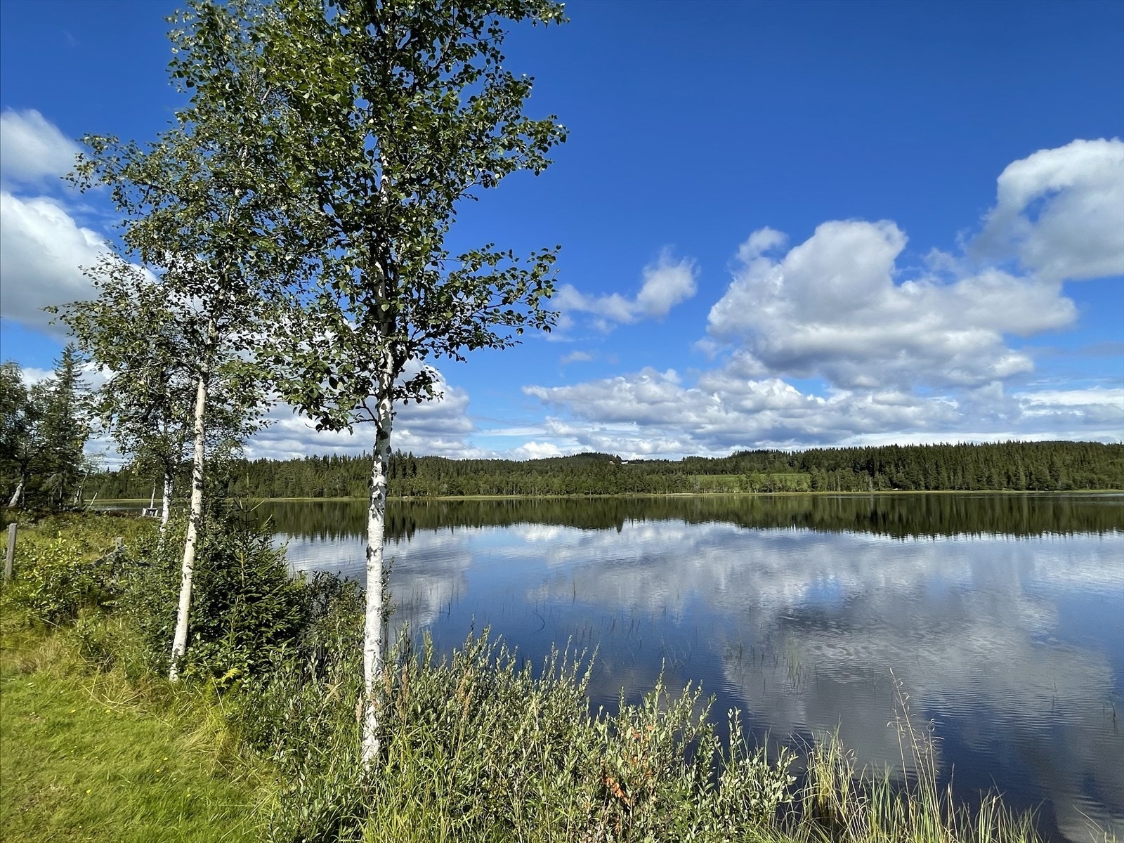 Det er mange gode muligheter for både jakt og fiske i omkringliggende områder. Galleribilde
