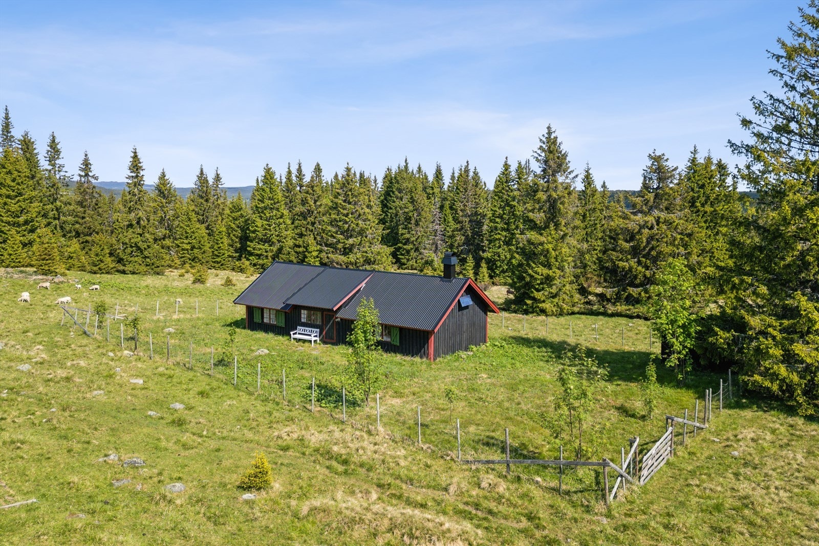 Her kan man nyte alt naturen har å by på. Galleribilde