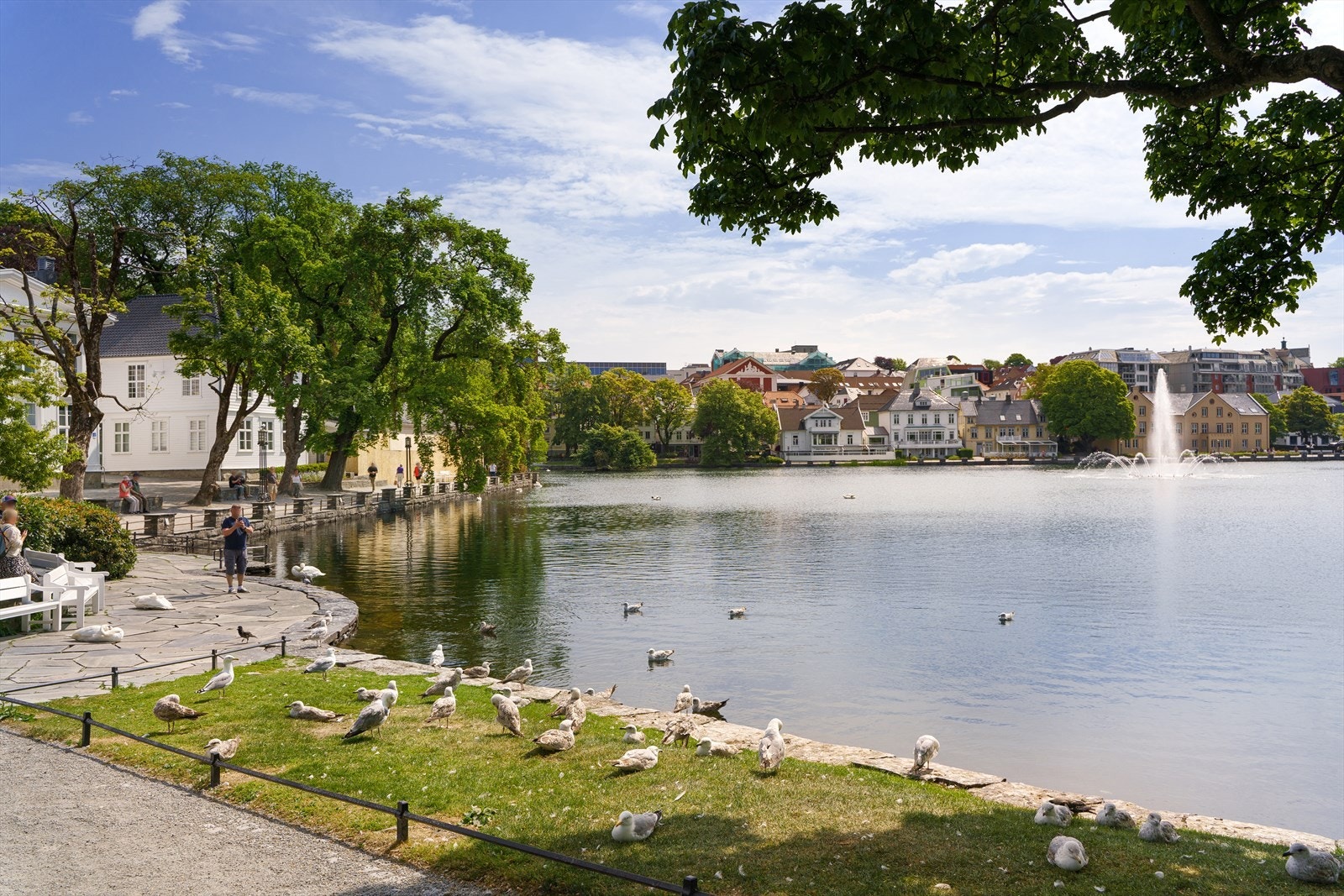 Nærmiljø - Byparken Galleribilde