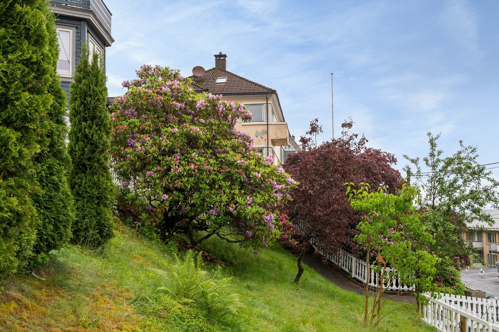 - Skråtomt på 662,9kvm - Galleribilde