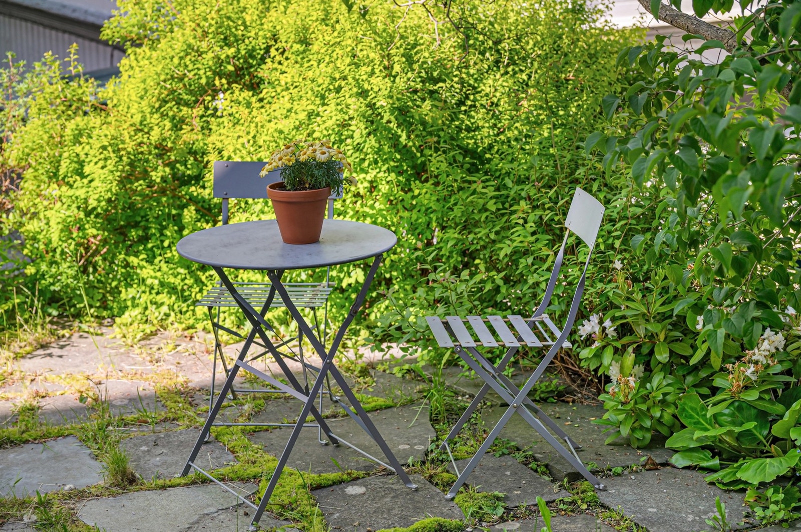 En liten, grønn oase midt i byen, men likevel tilbaketrukket. Galleribilde