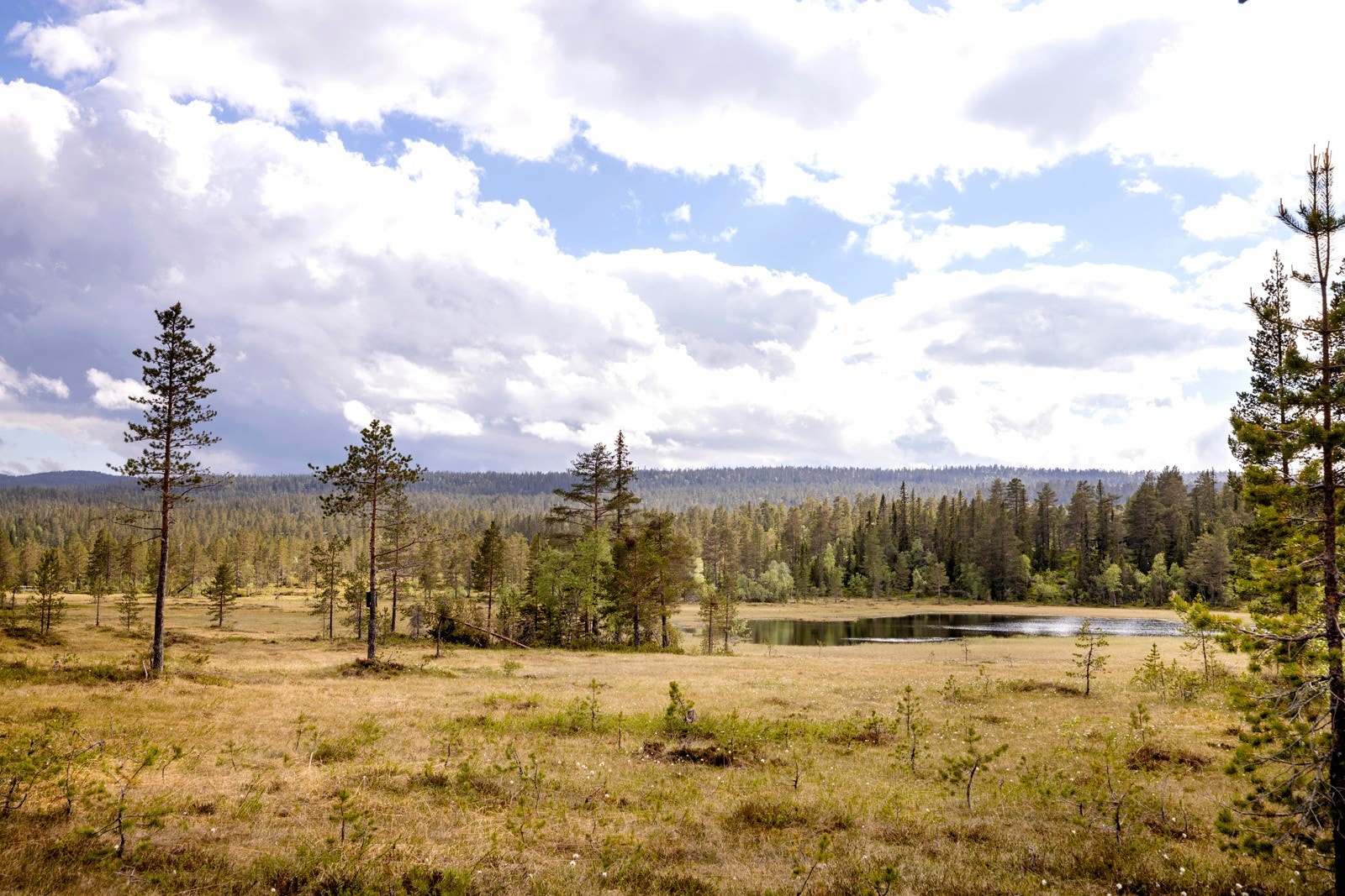 Tomten er beliggende ved Fanteputten. Galleribilde