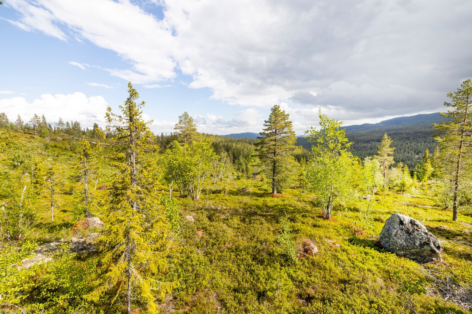 Visning på eget initiativ, eller kontakt megler. Galleribilde