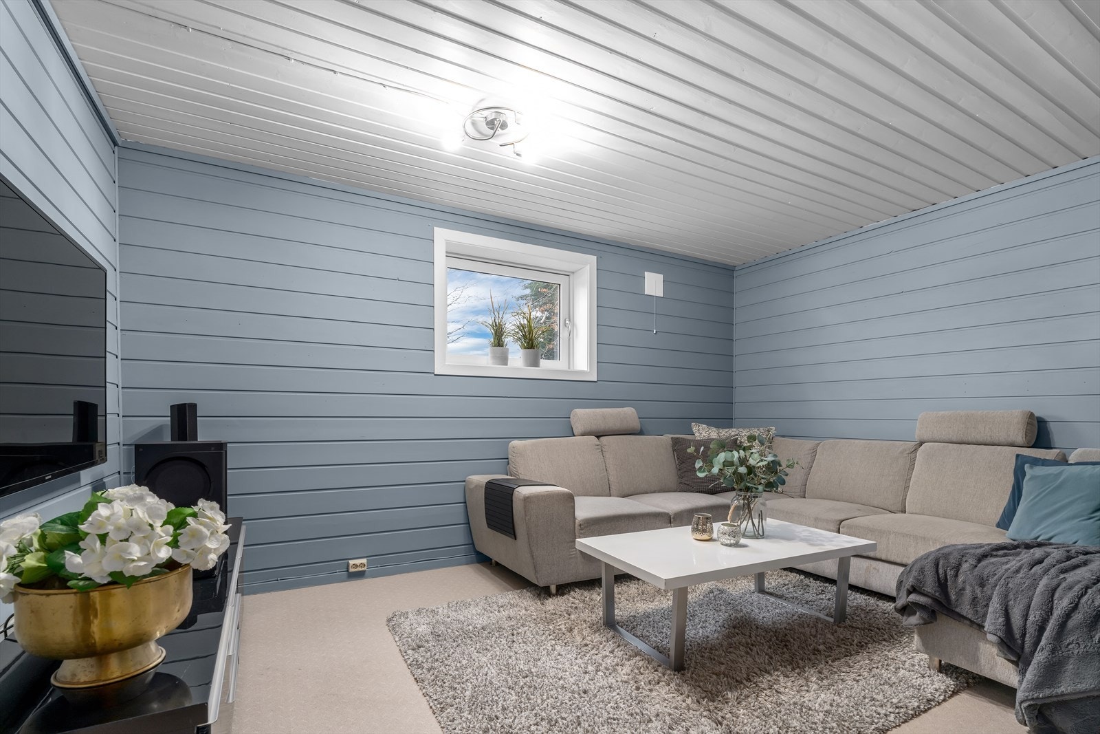 Seksjon 2 - Rom i kjeller innredet som stue (ikke godkjent for varig opphold) Galleribilde