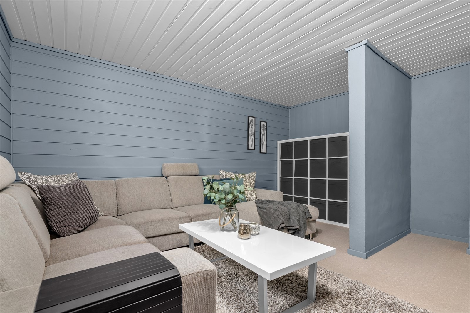 Seksjon 2 - Rom i kjeller innredet som stue (ikke godkjent for varig opphold) Galleribilde