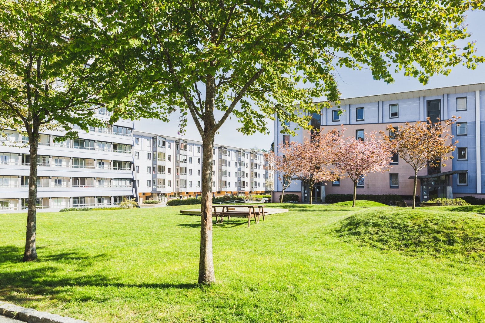 Det er mye naturområde og et stort grøntareal mellom blokkene. Galleribilde