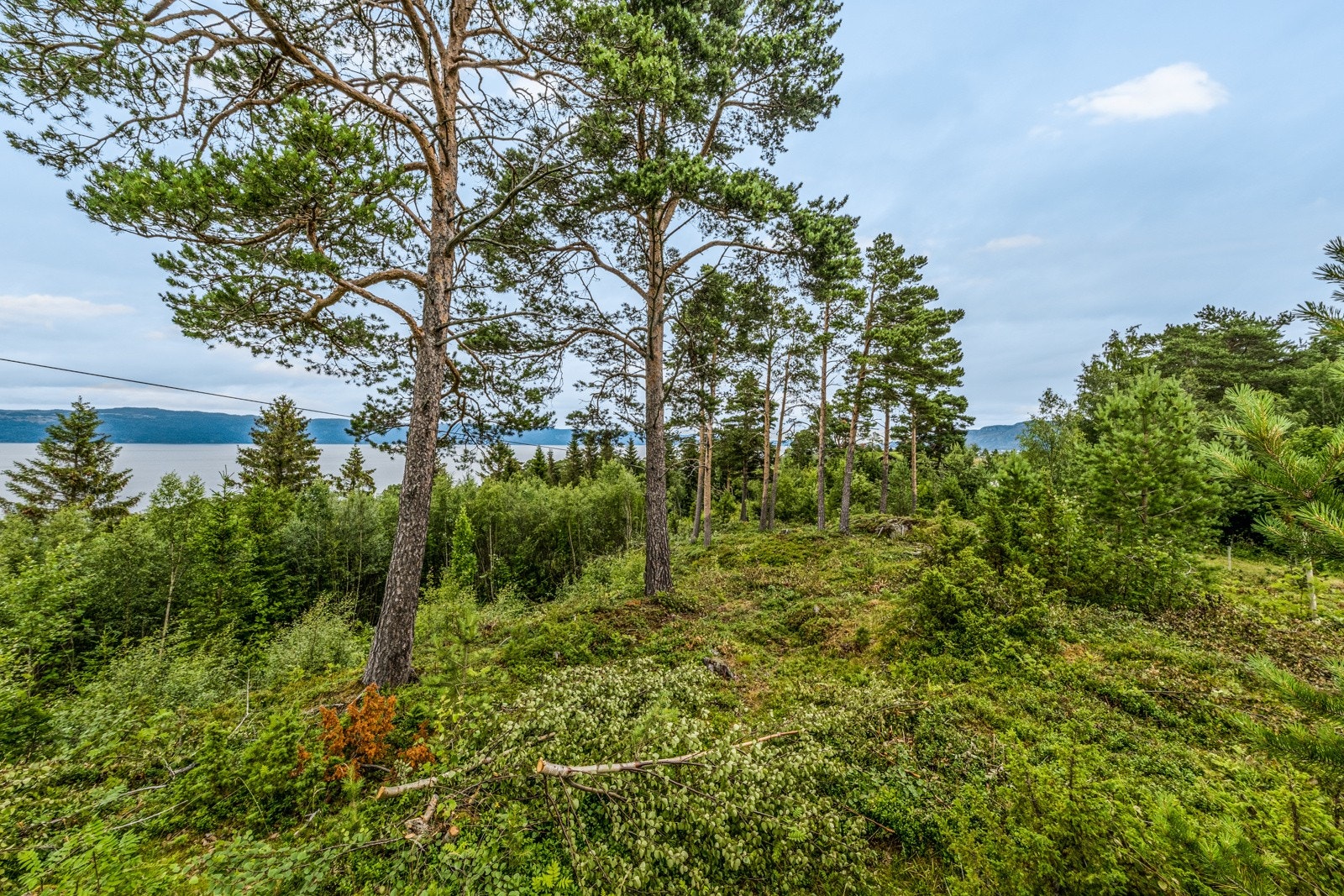 Tomta er på 715 kvm Galleribilde