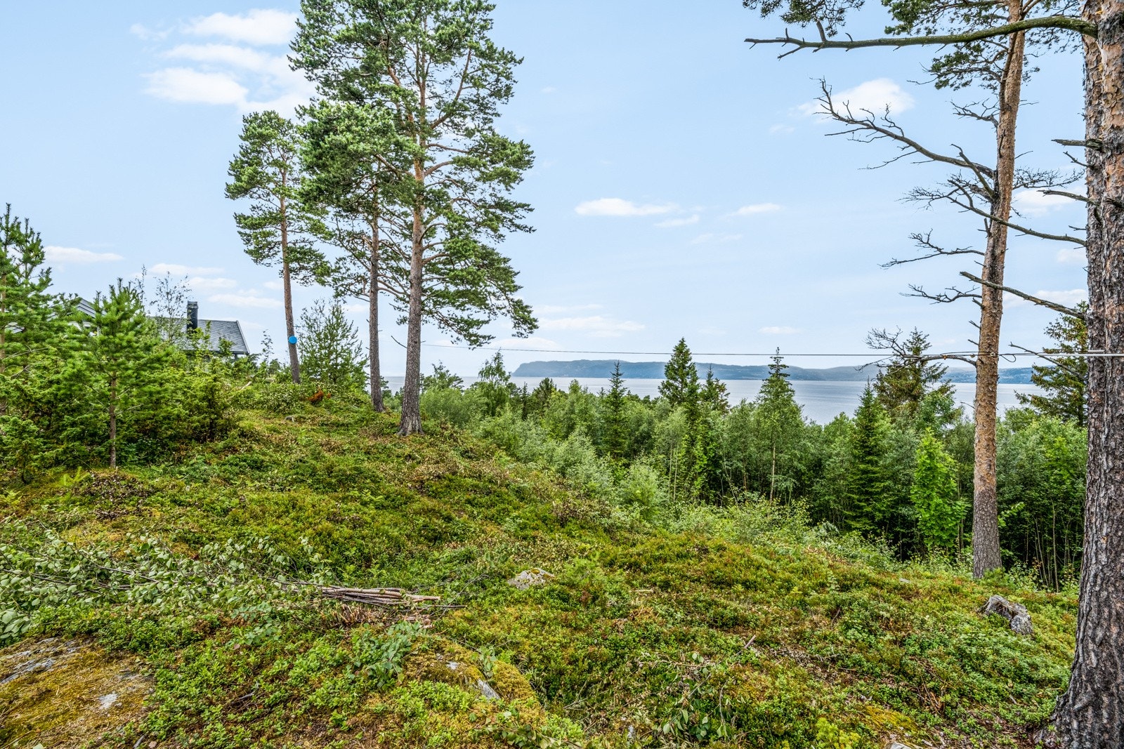 Kan bygge opp til 120 kvm (bra) Galleribilde