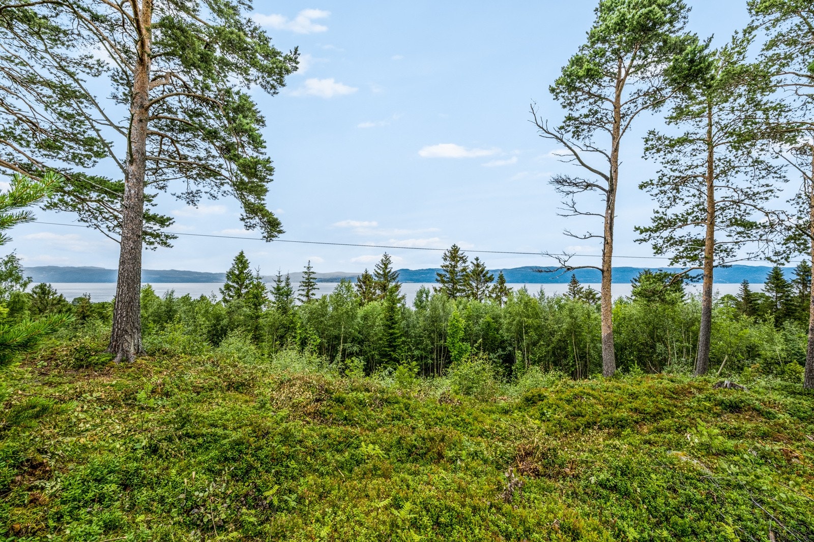 Tomten er pt ubebygd og leveres uten byggeklausul Galleribilde