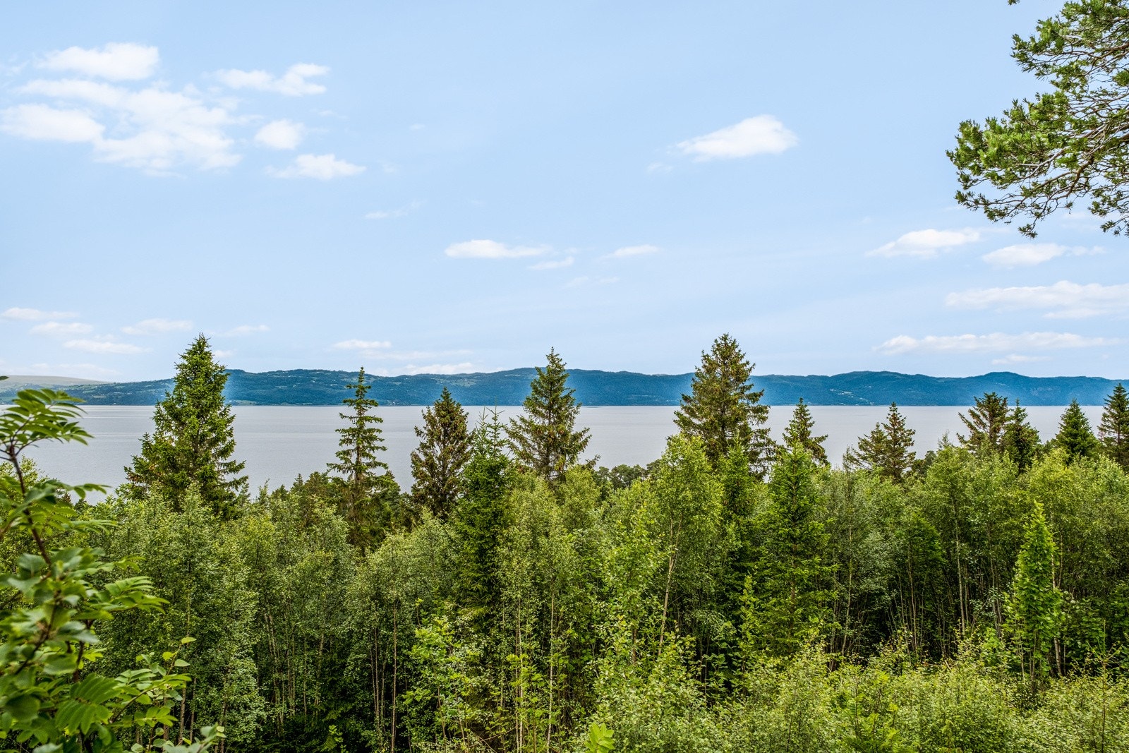 Fantastisk utsikt Galleribilde