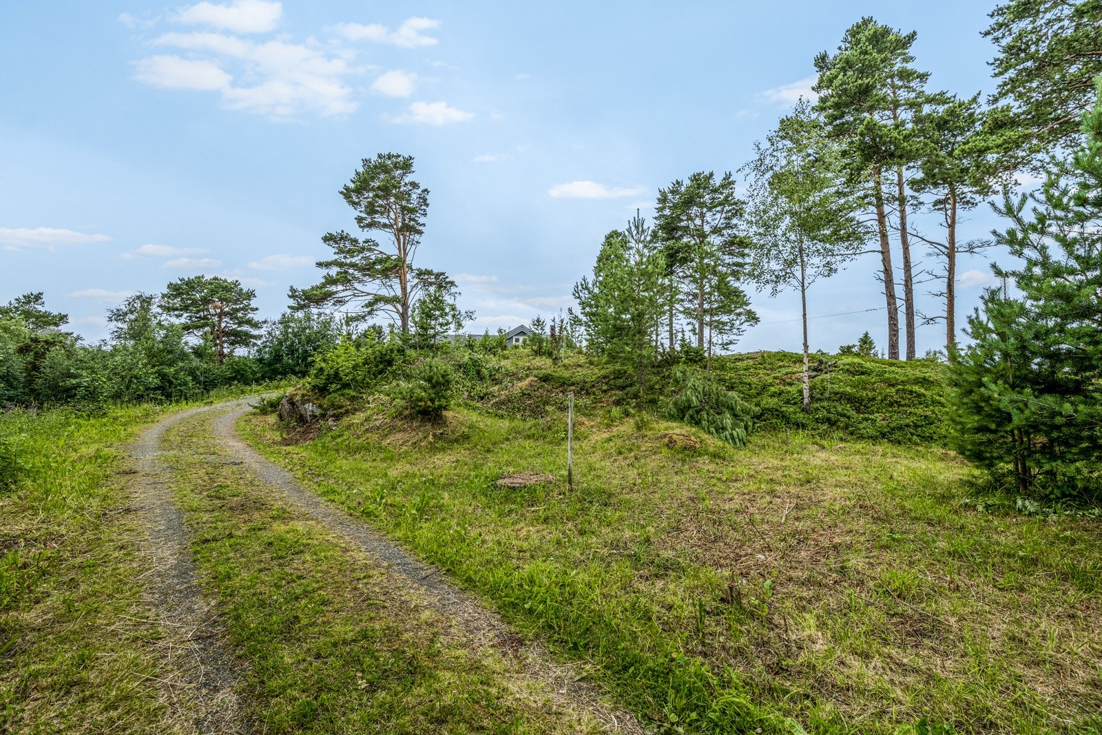 Bilvei fram. Vann, avløp og strøm ligger klart ved tomta Galleribilde